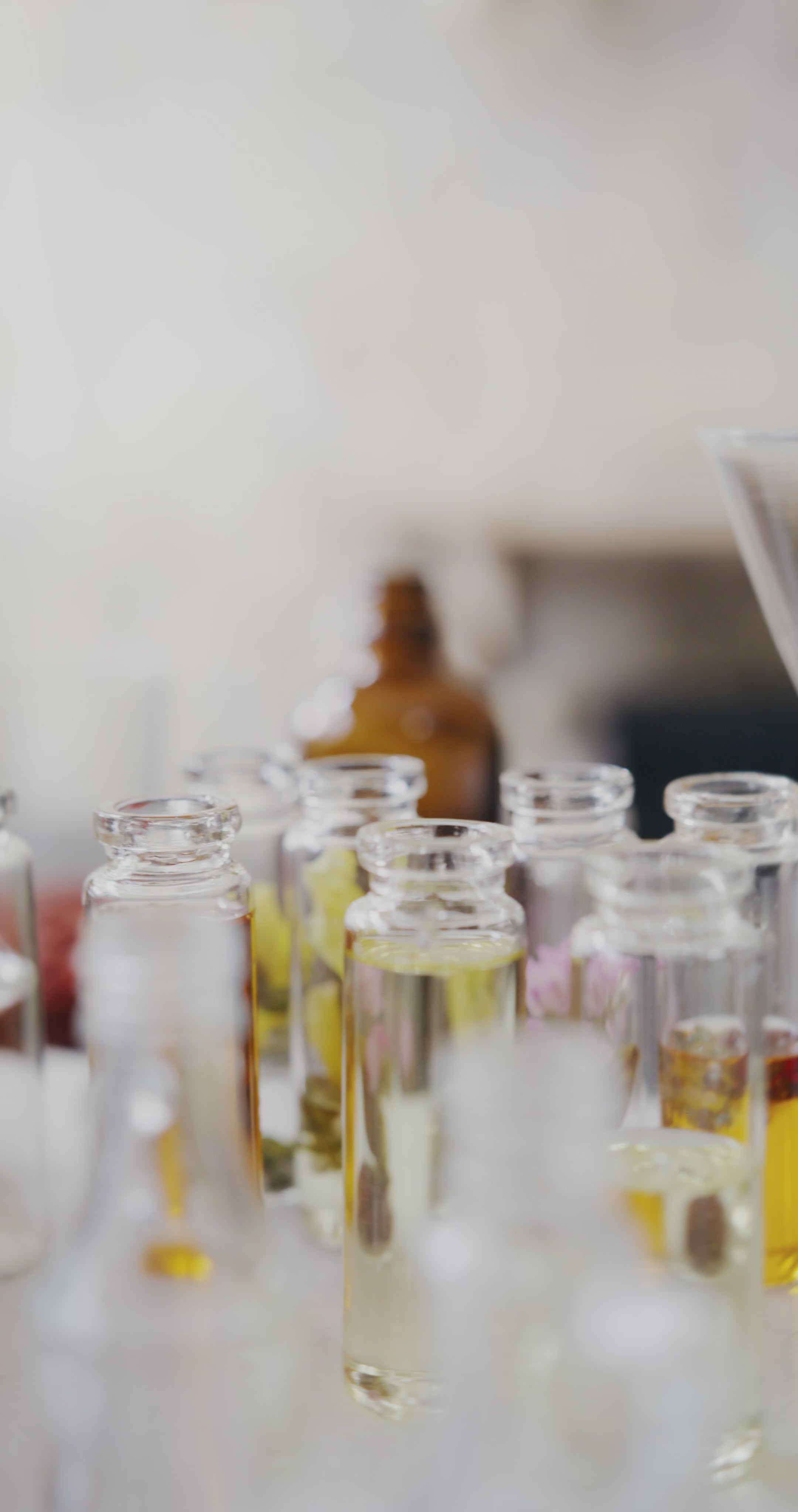 Charger la vidéo : 